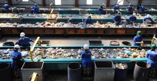 Samsun Büyükşehir'den ,Milli Ekonomiye Katkı