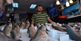 Balıkçı Tezgahları Balık Olmayınca Sebze Ve Meyve Tezgahına Döndü