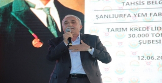 Şanlıurfa Yeni Yatırımlarla Hayvancılığın Da Merkezi Olmaya Hazırlanıyor