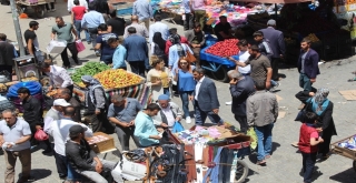 Vanda Bayram Hareketliliği