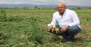 25 Yıllık Soğan Üreticisi Konuştu: