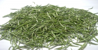 Çaykur Bu Yıl Yaş Çay Sezonunda 475 Kilogram Beyaz Çay Aldı