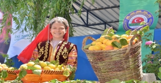 Kahramanmaraşta Kayısı Tarla Günü