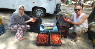 Kazdağı Çileği Üreticileri Sevindirdi