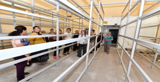 İstiridye Mantarı Yetiştiren Kadınlar Artık İş Dünyasında