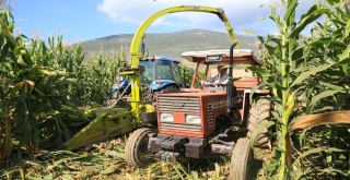 Başkan Atıcı, Silaj Yapma Fiyatlarını Açıkladı