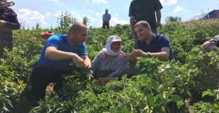 Balıkesirde Çiftçi Sayısı Azalıyor