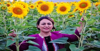 Şevkin: Ayçiçeği Üretim Alanları Artmalı”