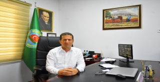 Limon Fiyatları Aldı Başını Gidiyor