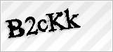 CAPTCHA security code
