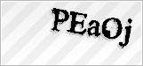 CAPTCHA security code