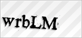CAPTCHA security code
