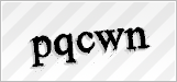 CAPTCHA security code
