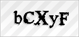 CAPTCHA security code