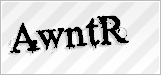 CAPTCHA security code