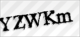 CAPTCHA security code