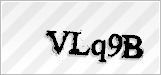 CAPTCHA security code