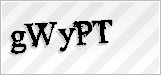 CAPTCHA security code