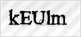 CAPTCHA security code