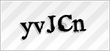 CAPTCHA security code
