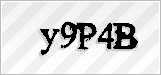 CAPTCHA security code
