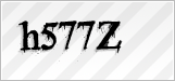 CAPTCHA security code