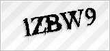 CAPTCHA security code