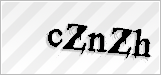 CAPTCHA security code