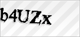 CAPTCHA security code