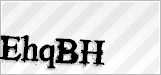 CAPTCHA security code