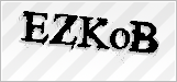 CAPTCHA security code