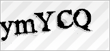 CAPTCHA security code