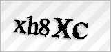 CAPTCHA security code
