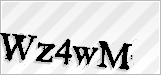 CAPTCHA security code