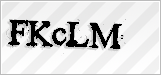 CAPTCHA security code