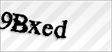 CAPTCHA security code