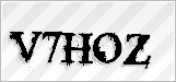 CAPTCHA security code
