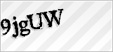 CAPTCHA security code