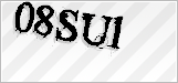 CAPTCHA security code