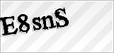 CAPTCHA security code