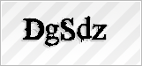 CAPTCHA security code