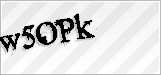 CAPTCHA security code