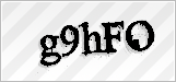 CAPTCHA security code