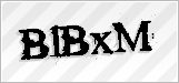 CAPTCHA security code