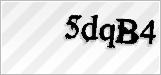 CAPTCHA security code