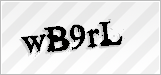 CAPTCHA security code