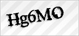 CAPTCHA security code