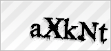 CAPTCHA security code