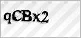 CAPTCHA security code