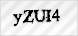CAPTCHA security code